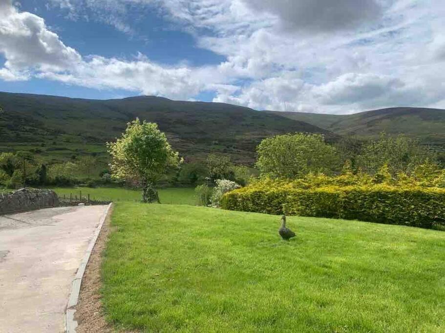 Mountain House Omeath Near Carlingford Villa O Meith Luaran gambar