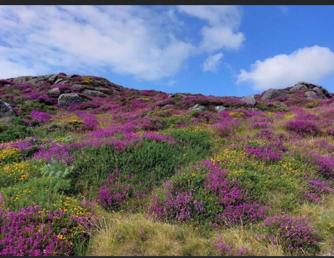 Mountain House Omeath Near Carlingford Villa O Meith Luaran gambar